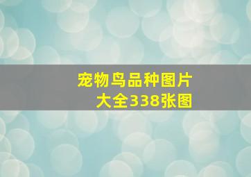 宠物鸟品种图片大全338张图