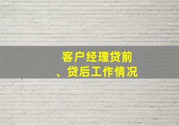 客户经理贷前、贷后工作情况