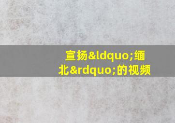 宣扬“缅北”的视频