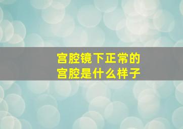 宫腔镜下正常的宫腔是什么样子