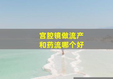 宫腔镜做流产和药流哪个好