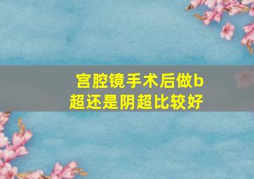 宫腔镜手术后做b超还是阴超比较好