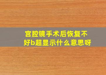 宫腔镜手术后恢复不好b超显示什么意思呀