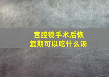 宫腔镜手术后恢复期可以吃什么汤