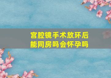 宫腔镜手术放环后能同房吗会怀孕吗