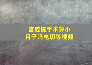 宫腔镜手术算小月子吗电切等视频