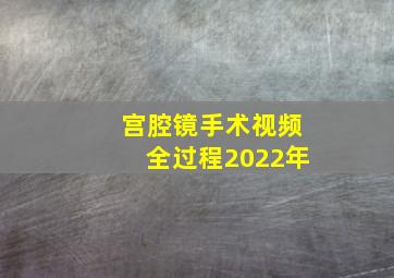 宫腔镜手术视频全过程2022年