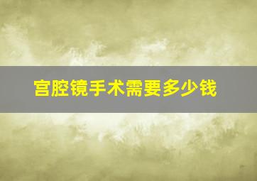 宫腔镜手术需要多少钱