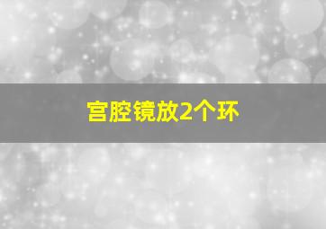 宫腔镜放2个环