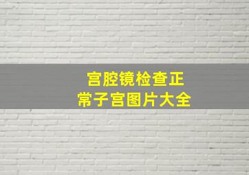 宫腔镜检查正常子宫图片大全