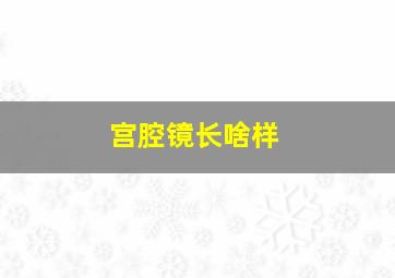 宫腔镜长啥样