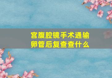 宫腹腔镜手术通输卵管后复查查什么