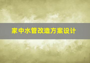 家中水管改造方案设计