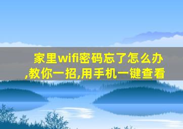 家里wifi密码忘了怎么办,教你一招,用手机一键查看