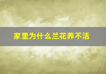 家里为什么兰花养不活