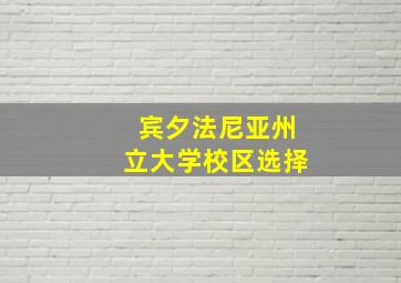 宾夕法尼亚州立大学校区选择