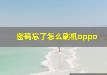 密码忘了怎么刷机oppo