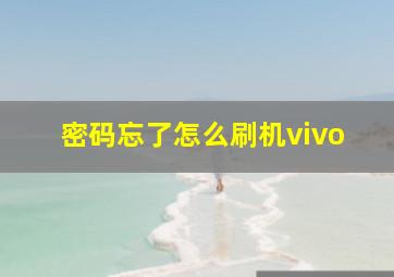 密码忘了怎么刷机vivo