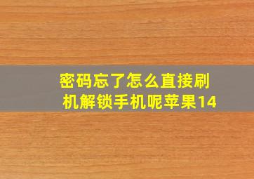 密码忘了怎么直接刷机解锁手机呢苹果14