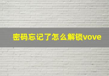 密码忘记了怎么解锁vove