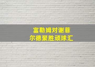 富勒姆对谢菲尔德聚胜顽球汇