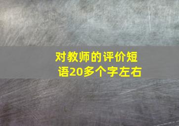 对教师的评价短语20多个字左右