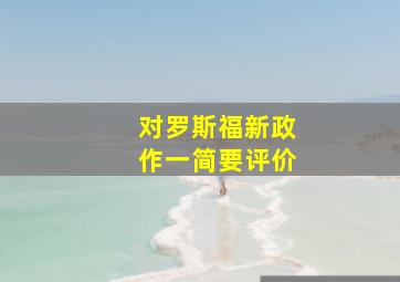 对罗斯福新政作一简要评价