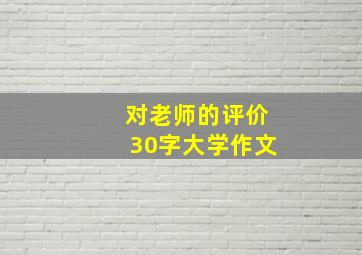 对老师的评价30字大学作文