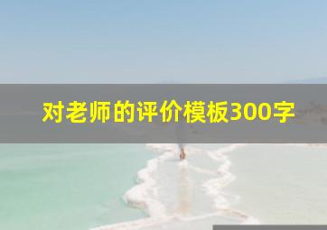 对老师的评价模板300字