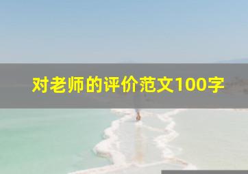 对老师的评价范文100字