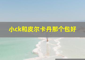 小ck和皮尔卡丹那个包好