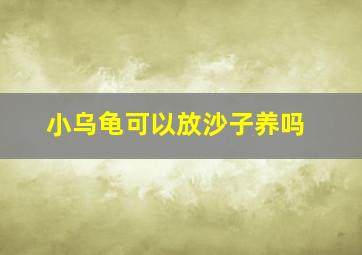 小乌龟可以放沙子养吗