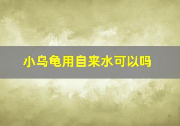 小乌龟用自来水可以吗