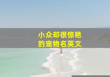 小众却很惊艳的宠物名英文