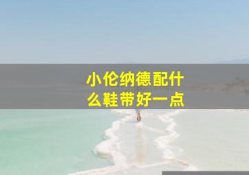 小伦纳德配什么鞋带好一点