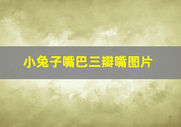 小兔子嘴巴三瓣嘴图片