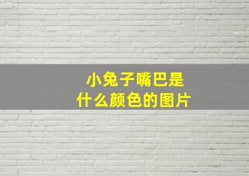 小兔子嘴巴是什么颜色的图片