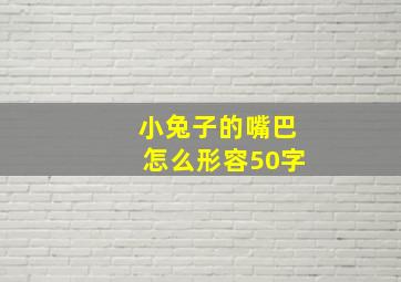 小兔子的嘴巴怎么形容50字