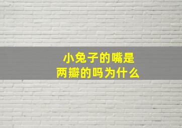 小兔子的嘴是两瓣的吗为什么