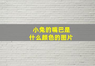 小兔的嘴巴是什么颜色的图片