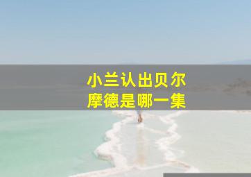 小兰认出贝尔摩德是哪一集