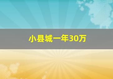 小县城一年30万