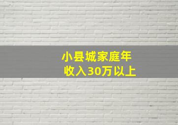 小县城家庭年收入30万以上