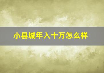 小县城年入十万怎么样