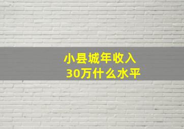 小县城年收入30万什么水平