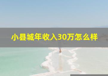 小县城年收入30万怎么样