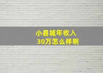 小县城年收入30万怎么样啊