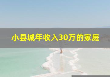 小县城年收入30万的家庭