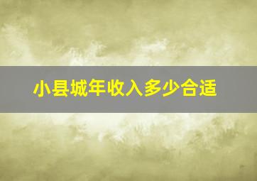 小县城年收入多少合适