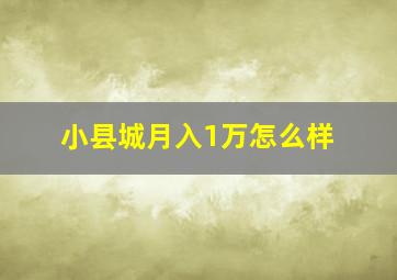 小县城月入1万怎么样